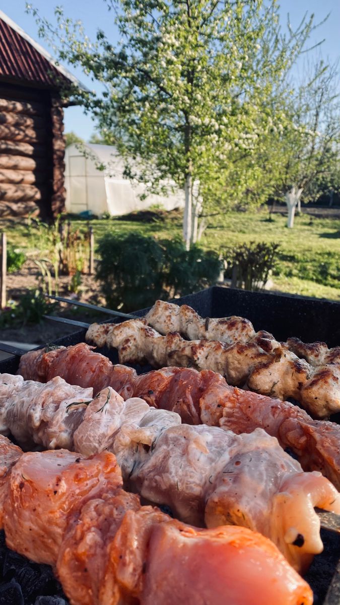 Вино к шашлыкам